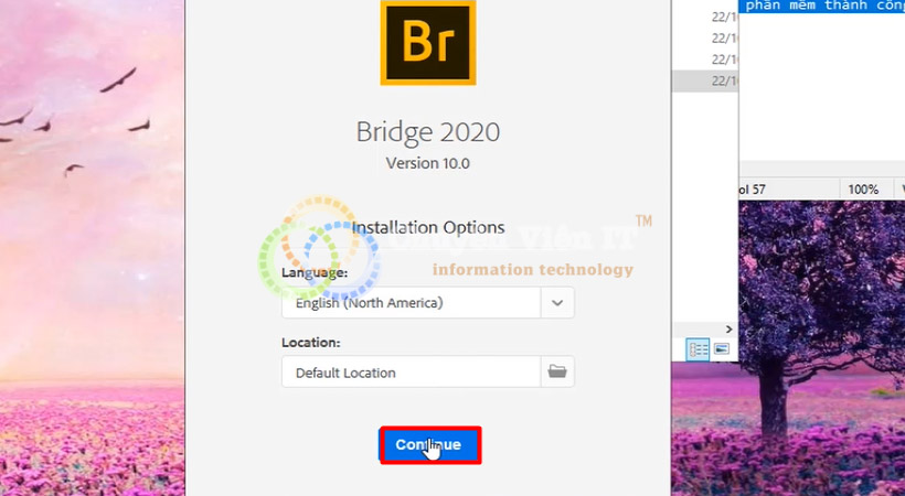 Adobe Bridge 2020